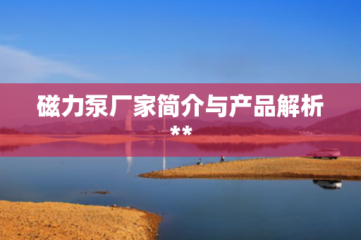 磁力泵厂家简介与产品解析**