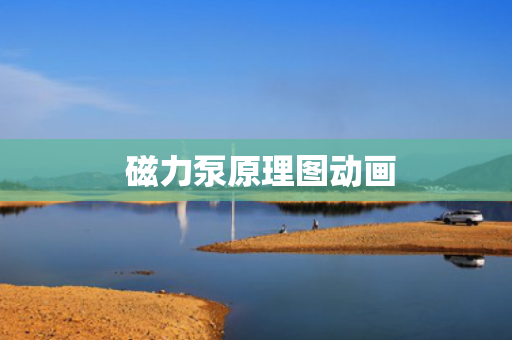  磁力泵原理图动画