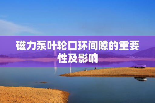 磁力泵叶轮口环间隙的重要性及影响
