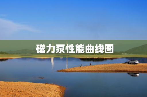  磁力泵性能曲线图