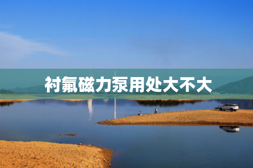  衬氟磁力泵用处大不大
