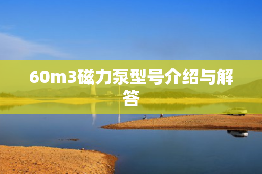 60m3磁力泵型号介绍与解答