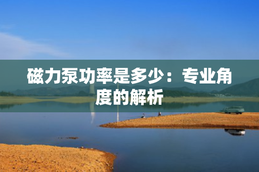 磁力泵功率是多少：专业角度的解析