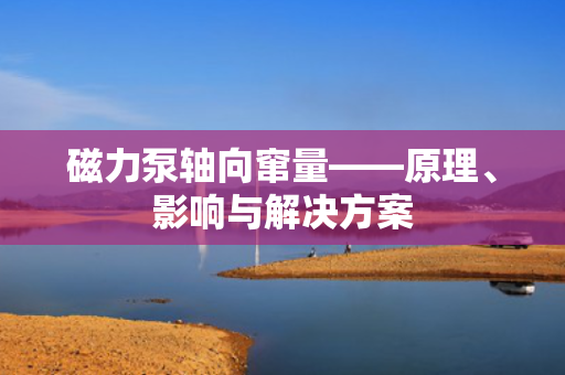 磁力泵轴向窜量——原理、影响与解决方案