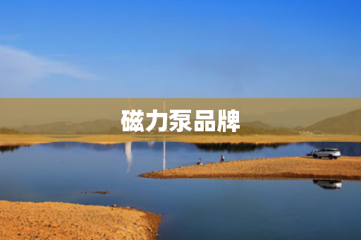 磁力泵品牌