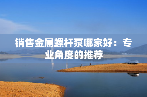 销售金属螺杆泵哪家好：专业角度的推荐