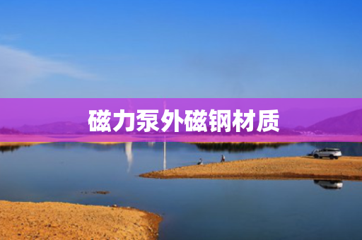 磁力泵外磁钢材质