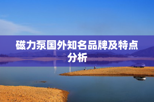 磁力泵国外知名品牌及特点分析