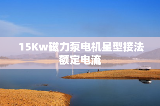  15Kw磁力泵电机星型接法额定电流