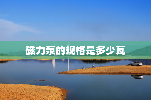 磁力泵的规格是多少瓦