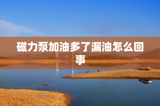 磁力泵加油多了漏油怎么回事