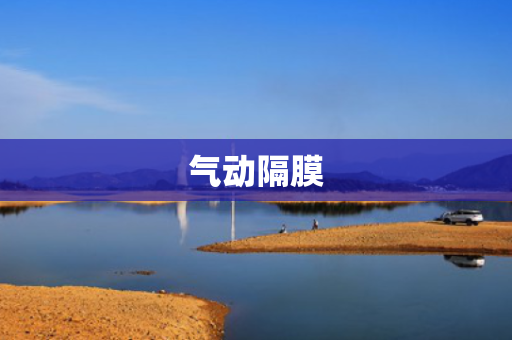 气动隔膜