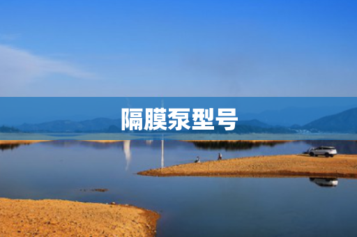 隔膜泵型号