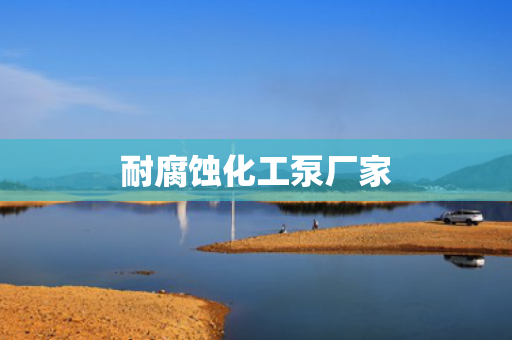 耐腐蚀化工泵厂家