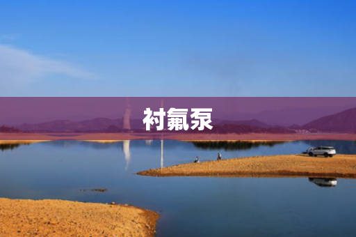 衬氟泵