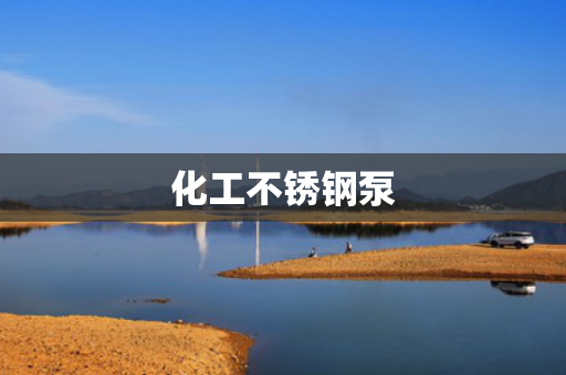 化工不锈钢泵