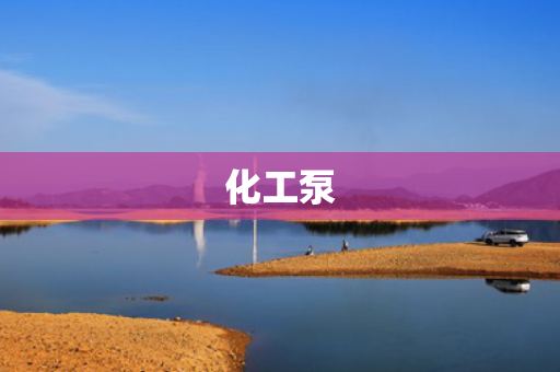 化工泵