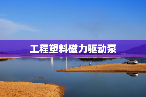 工程塑料磁力驱动泵