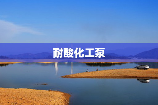 耐酸化工泵