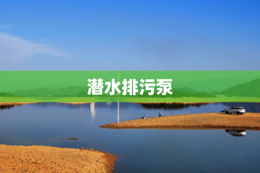 潜水排污泵