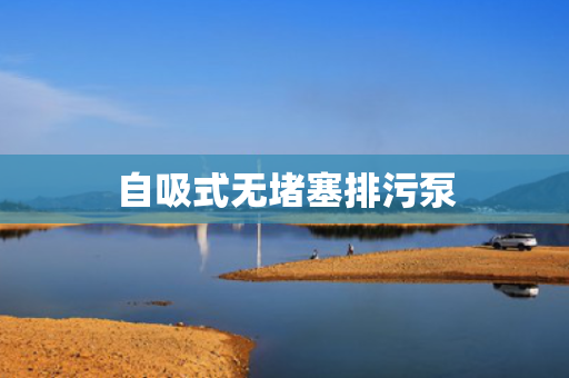 自吸式无堵塞排污泵