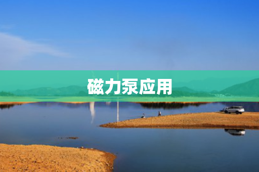 磁力泵应用