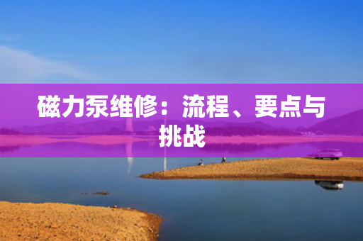 磁力泵维修：流程、要点与挑战