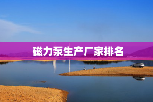  磁力泵生产厂家排名