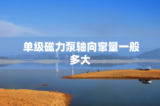  单级磁力泵轴向窜量一般多大