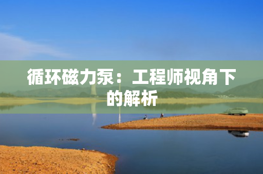 循环磁力泵：工程师视角下的解析