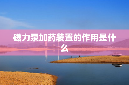 磁力泵加药装置的作用是什么