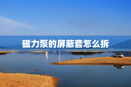 磁力泵的屏蔽套怎么拆