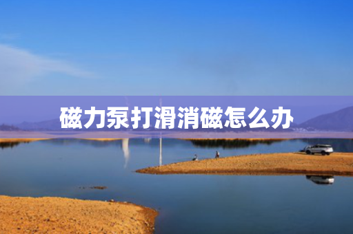 磁力泵打滑消磁怎么办