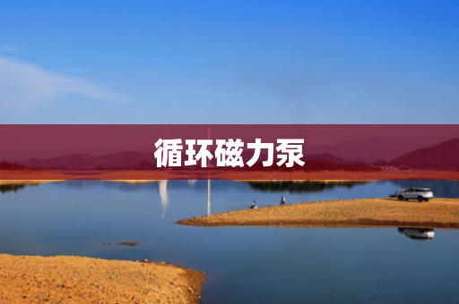 循环磁力泵