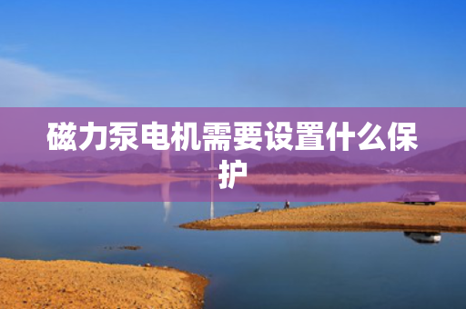 磁力泵电机需要设置什么?；? title=