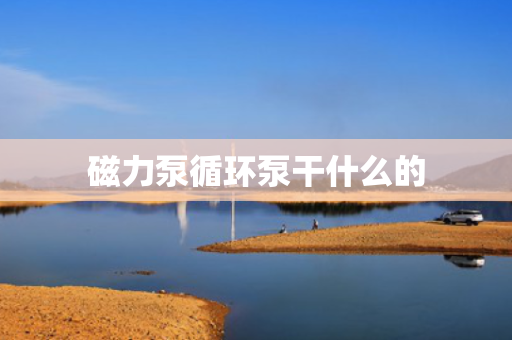 磁力泵循环泵干什么的