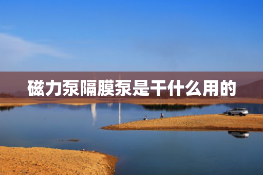 磁力泵隔膜泵是干什么用的