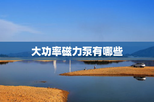 大功率磁力泵有哪些