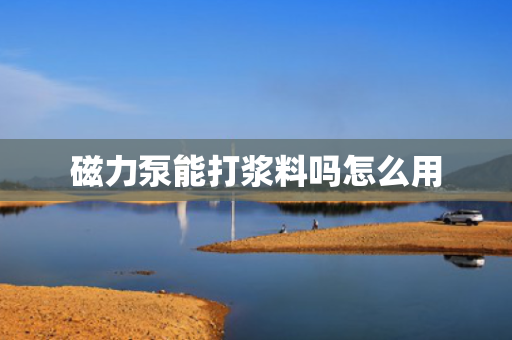 磁力泵能打浆料吗怎么用