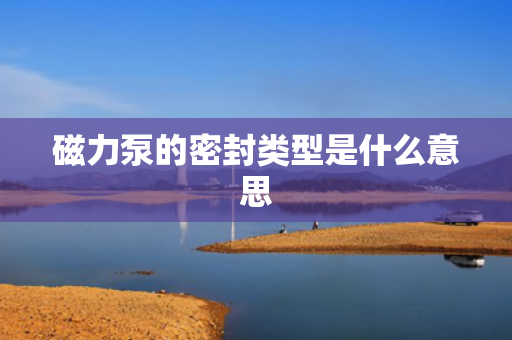 磁力泵的密封类型是什么意思