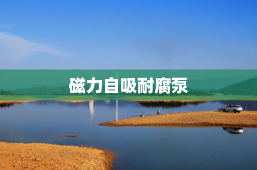 磁力自吸耐腐泵