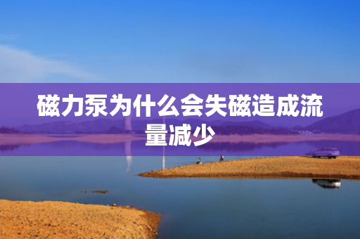 磁力泵为什么会失磁造成流量减少