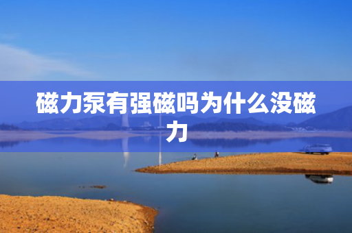 磁力泵有强磁吗为什么没磁力