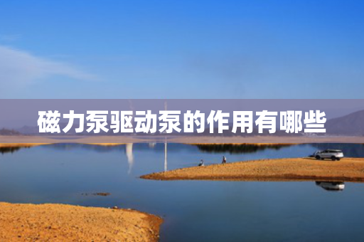 磁力泵驱动泵的作用有哪些