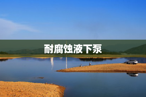 耐腐蚀液下泵
