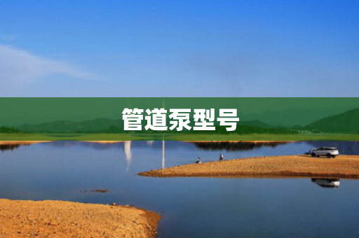 管道泵型号
