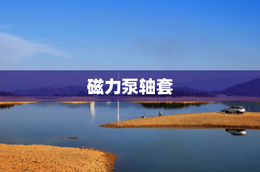 磁力泵轴套
