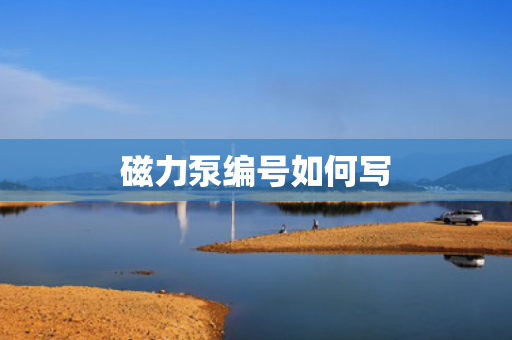 磁力泵编号如何写