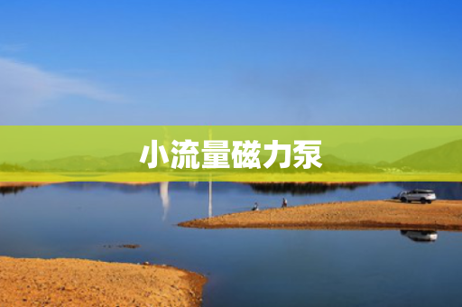小流量磁力泵