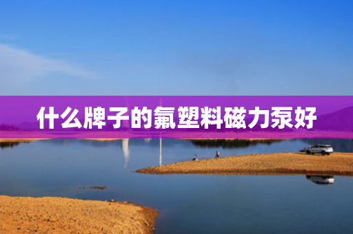 什么牌子的氟塑料磁力泵好